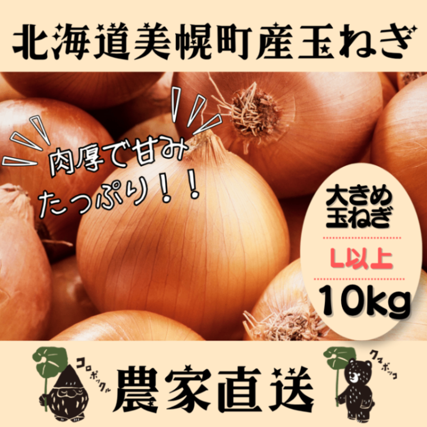【10月上旬発送予約販売】北海道産農家直送大きめ玉ねぎ10kg（Lサイズ以上）