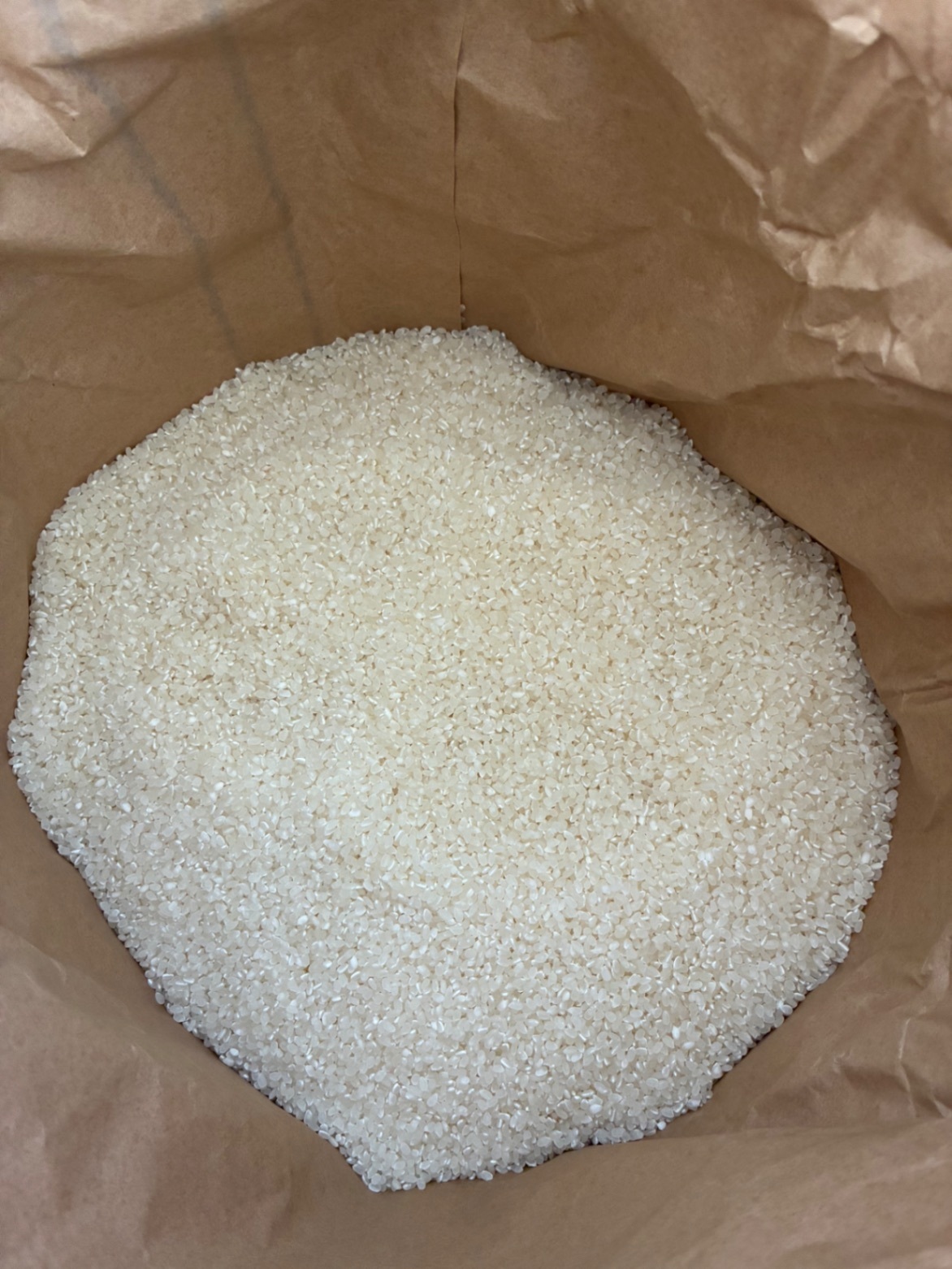 【新米】福井県産コシヒカリ　精米27kg