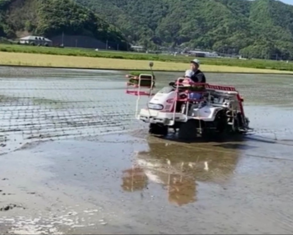 【新米】福井県産コシヒカリ　精米27kg