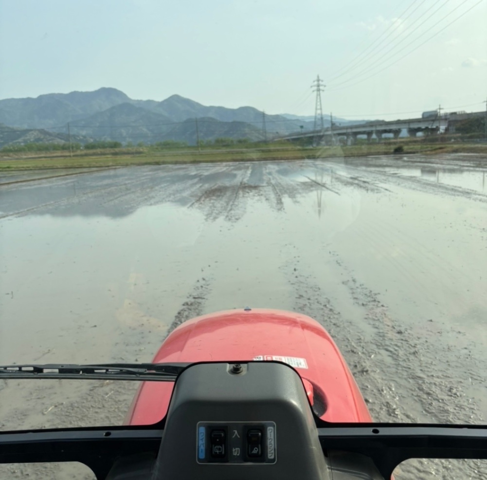 【新米】福井県産コシヒカリ　精米27kg