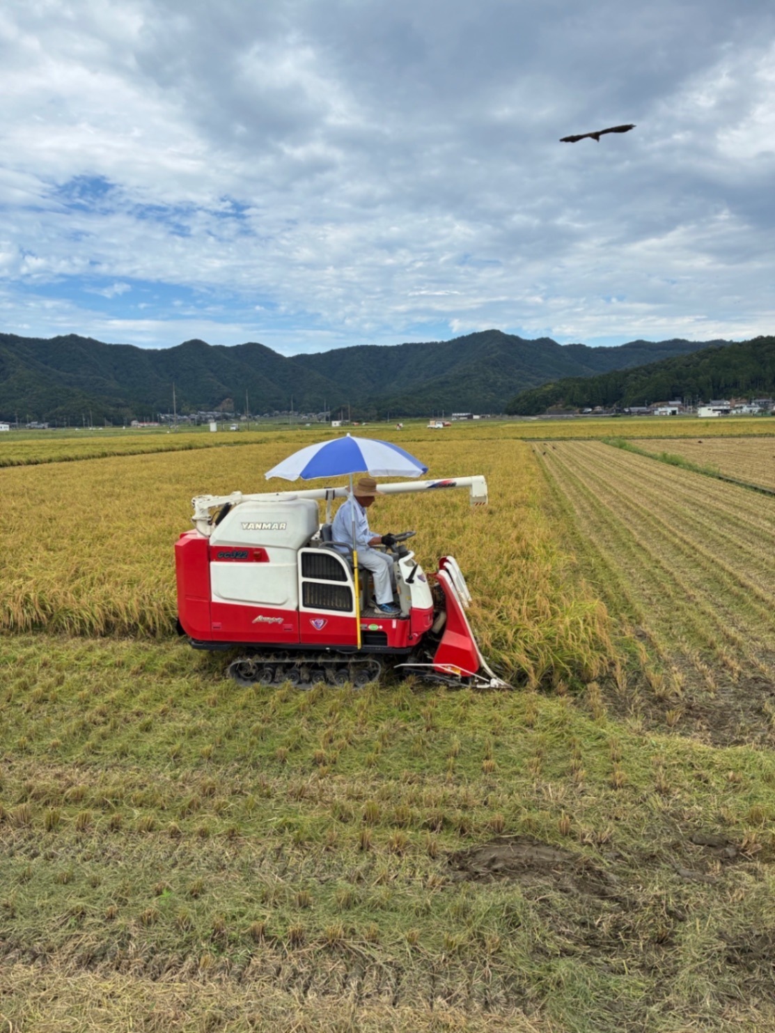 【新米】福井県産コシヒカリ　精米27kg