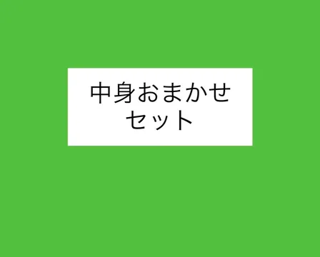 【中身おまかせセット】ポイント消費にも⭐︎