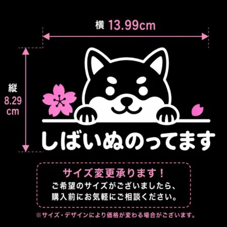 可愛くお知らせ♪ 柴犬のってます カッティングステッカー 桜 白 ピンク【05】