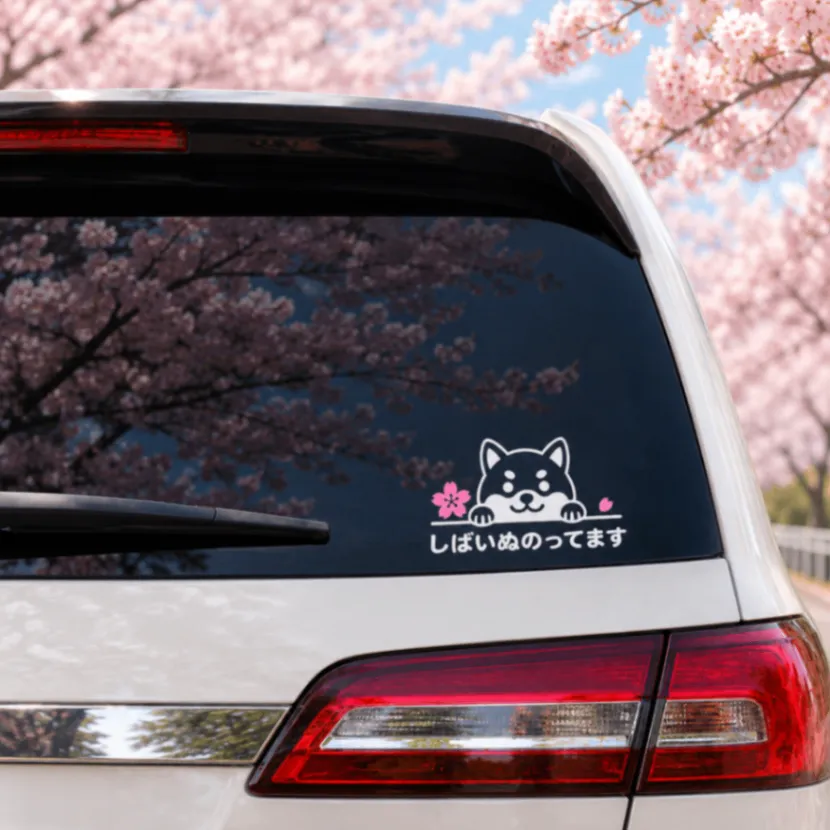 可愛くお知らせ♪ 柴犬のってます カッティングステッカー 桜 白 ピンク【05】