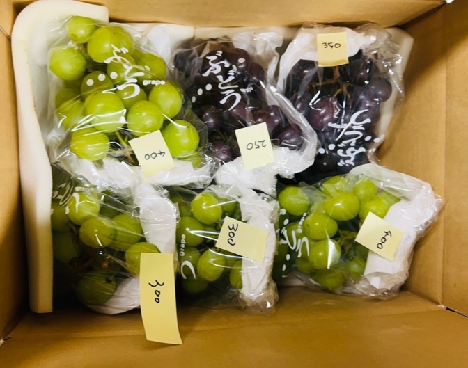 【送料込】信州伊那谷の採れたて⭐︎シャインマスカット4房⭐︎ノワール2房のセット  一箱 計約2kg