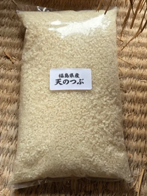 【精米したて】令和7年産福島県産天のつぶ　白米2kg