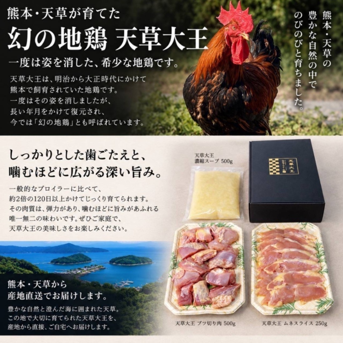 熊本天草　天草大王『幻の地鶏　水炊きセット』(2〜3人前)