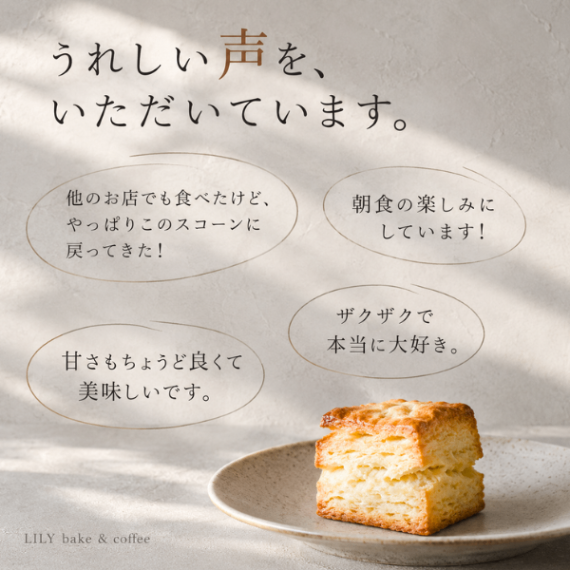 【送料込】塩麹スコーン 6個入り 《当店おすすめ》毎日でも食べたくなる！