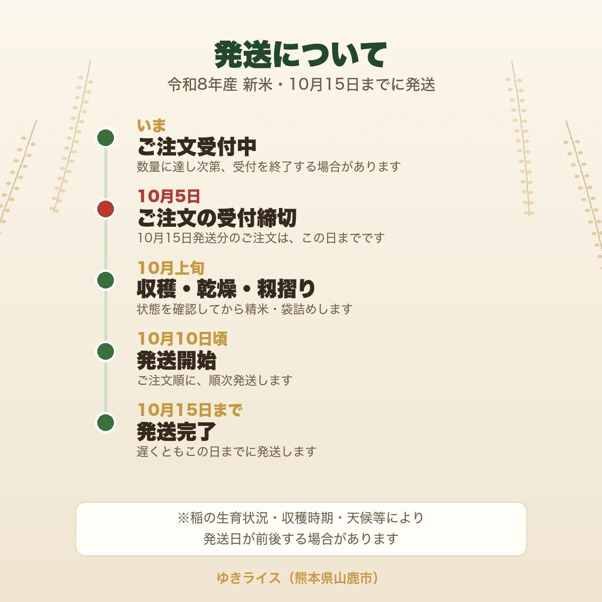 【10月15日発送】令和8年産 熊本県山鹿市産 ヒノヒカリ 精米15kg｜送料込み・まとめ買いに