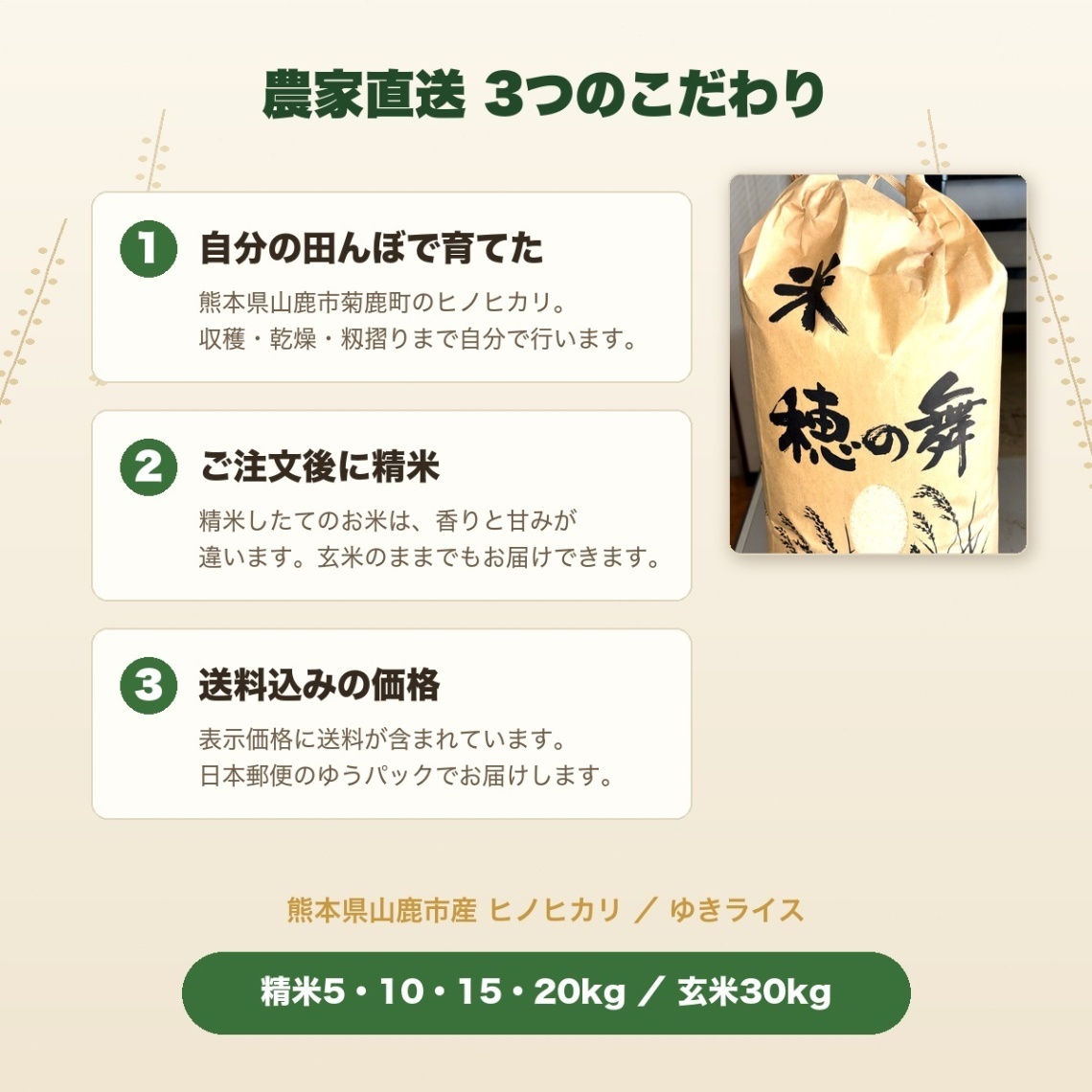 【10月15日発送】令和8年産 熊本県山鹿市産 ヒノヒカリ 精米20kg｜送料込み・たっぷり大容量