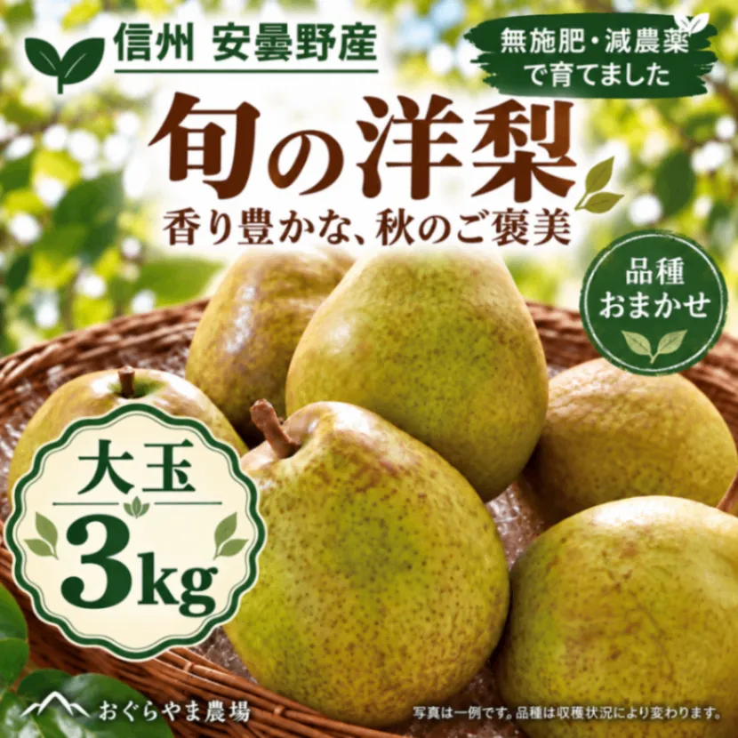 【信州安曇野産】無施肥・減農薬の旬の洋梨｜3kg・品種おまかせ