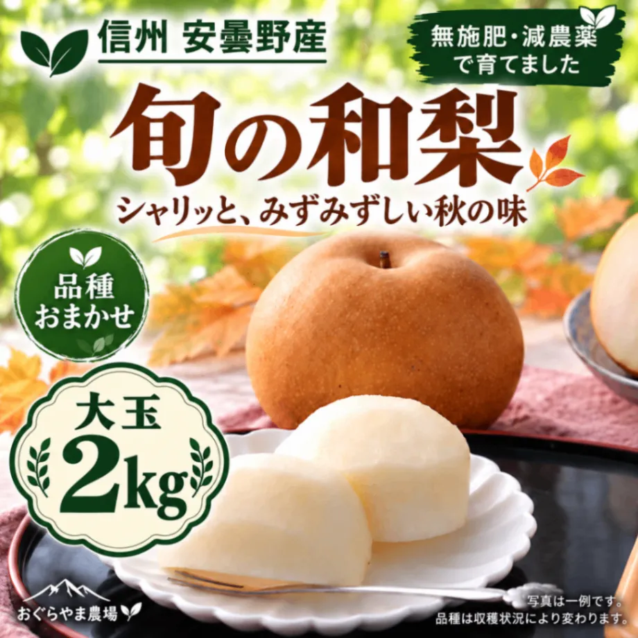 【信州安曇野産】無施肥・減農薬の旬の和梨｜2kg・品種おまかせ