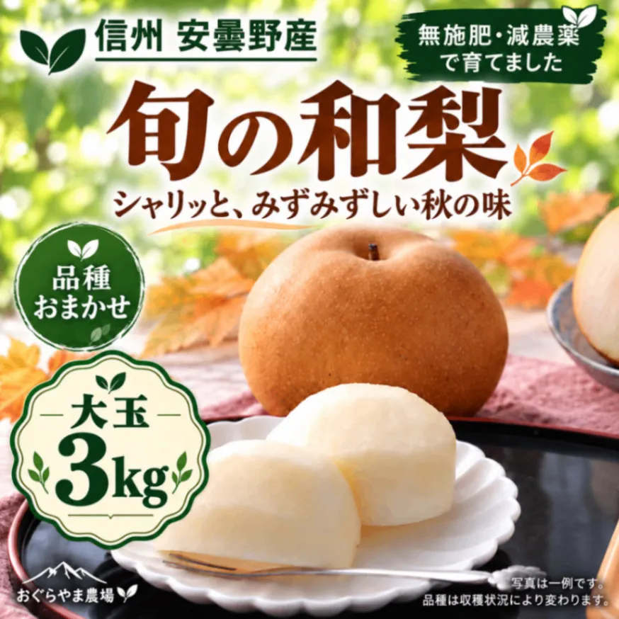 【信州安曇野産】無施肥・減農薬の旬の和梨｜3kg・品種おまかせ