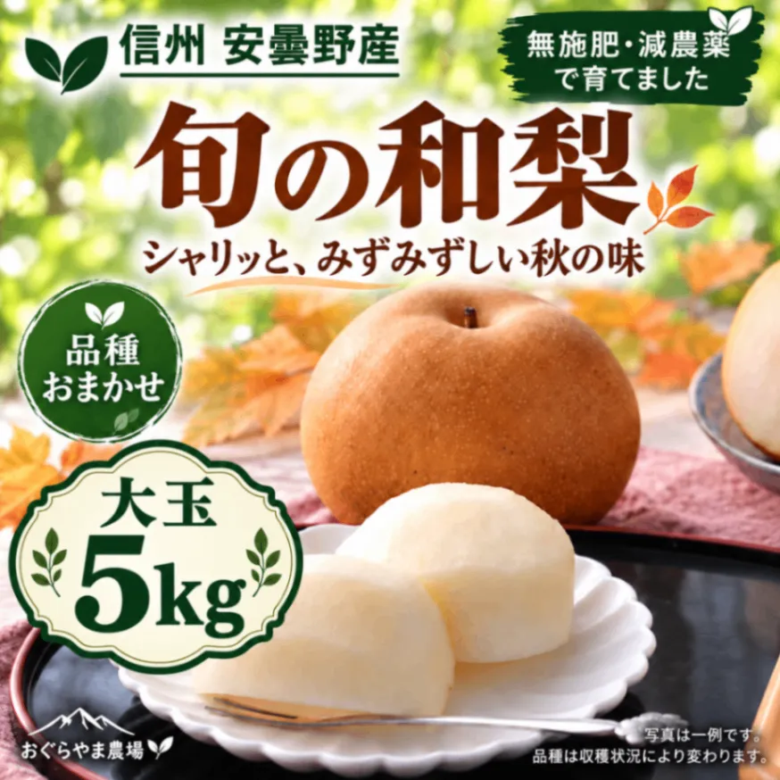 【信州安曇野産】無施肥・減農薬の旬の和梨｜5kg・品種おまかせ