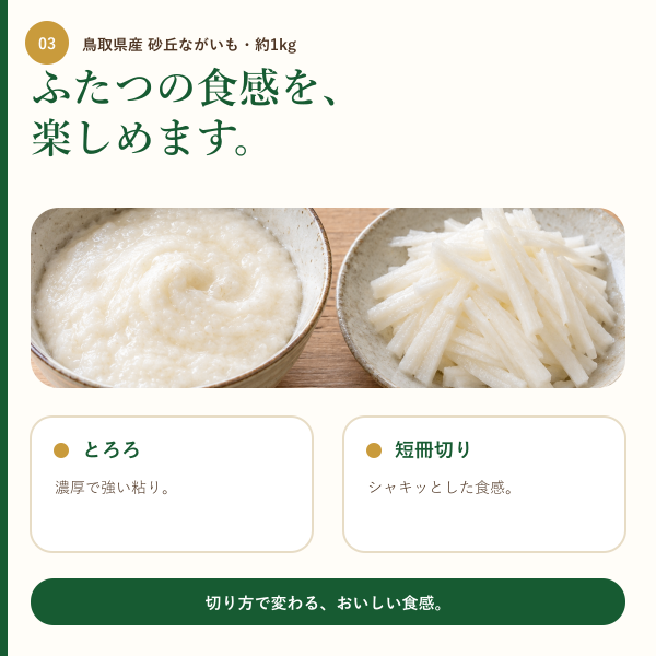【鳥取県産】砂丘ながいも 約1kg（2本前後）｜ご家庭用