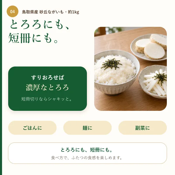 【鳥取県産】砂丘ながいも 約1kg（2本前後）｜ご家庭用