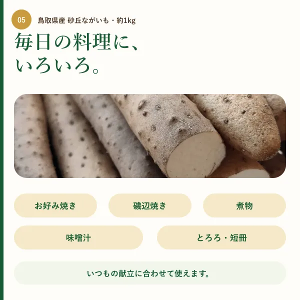 【鳥取県産】砂丘ながいも 約1kg（2本前後）｜ご家庭用