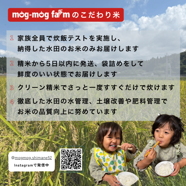 令和8年産 新米 島根県産つや姫 白米5kg 特別栽培米 一等米相当 発送直前精米 【秋の味覚】