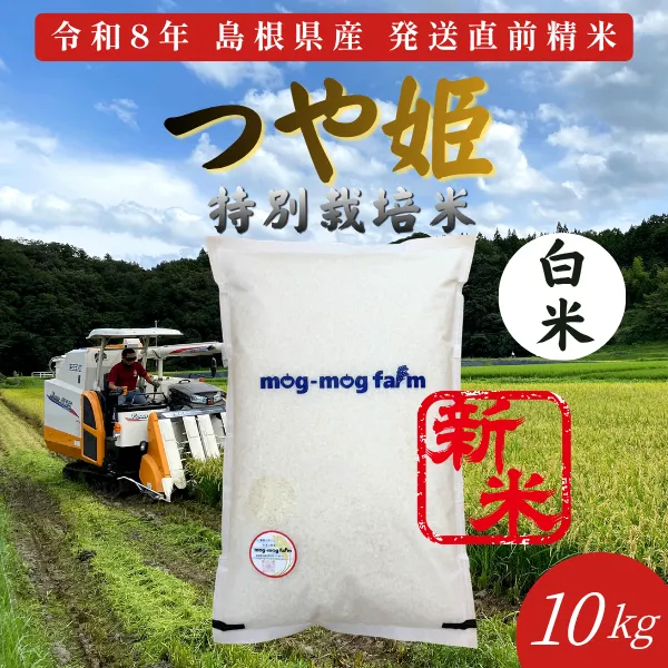 令和8年産 新米 島根県産つや姫 白米10kg 特別栽培米 一等米相当 発送直前精米 【秋の味覚】