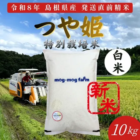 令和8年産 新米 島根県産つや姫 白米10kg 特別栽培米 一等米相当 発送直前精米 【秋の味覚】