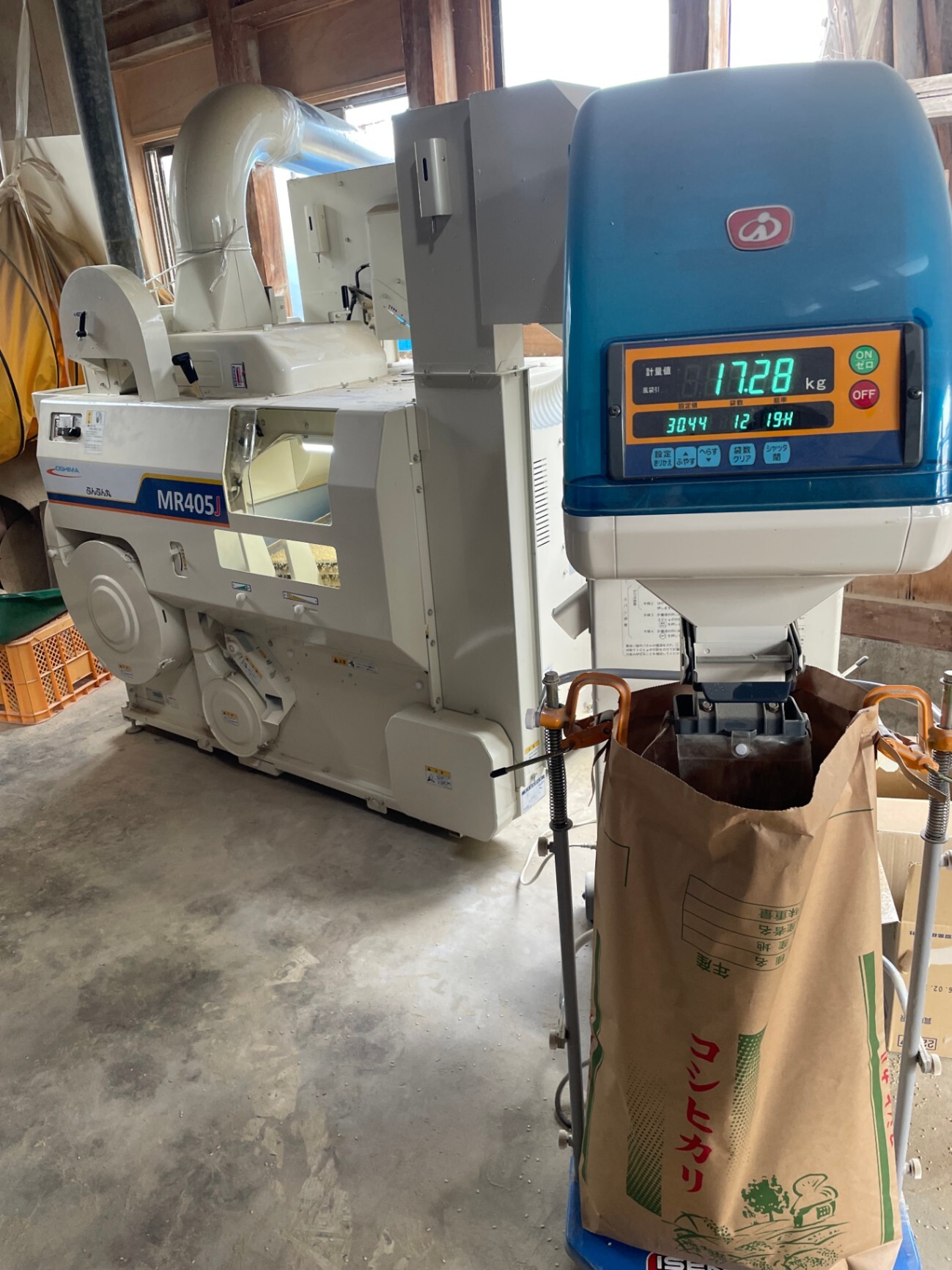 【農家直送】令和8年産 新潟県産コシヒカリ10kg（白米/玄米選択OK）/北海道・九州・沖縄送料別