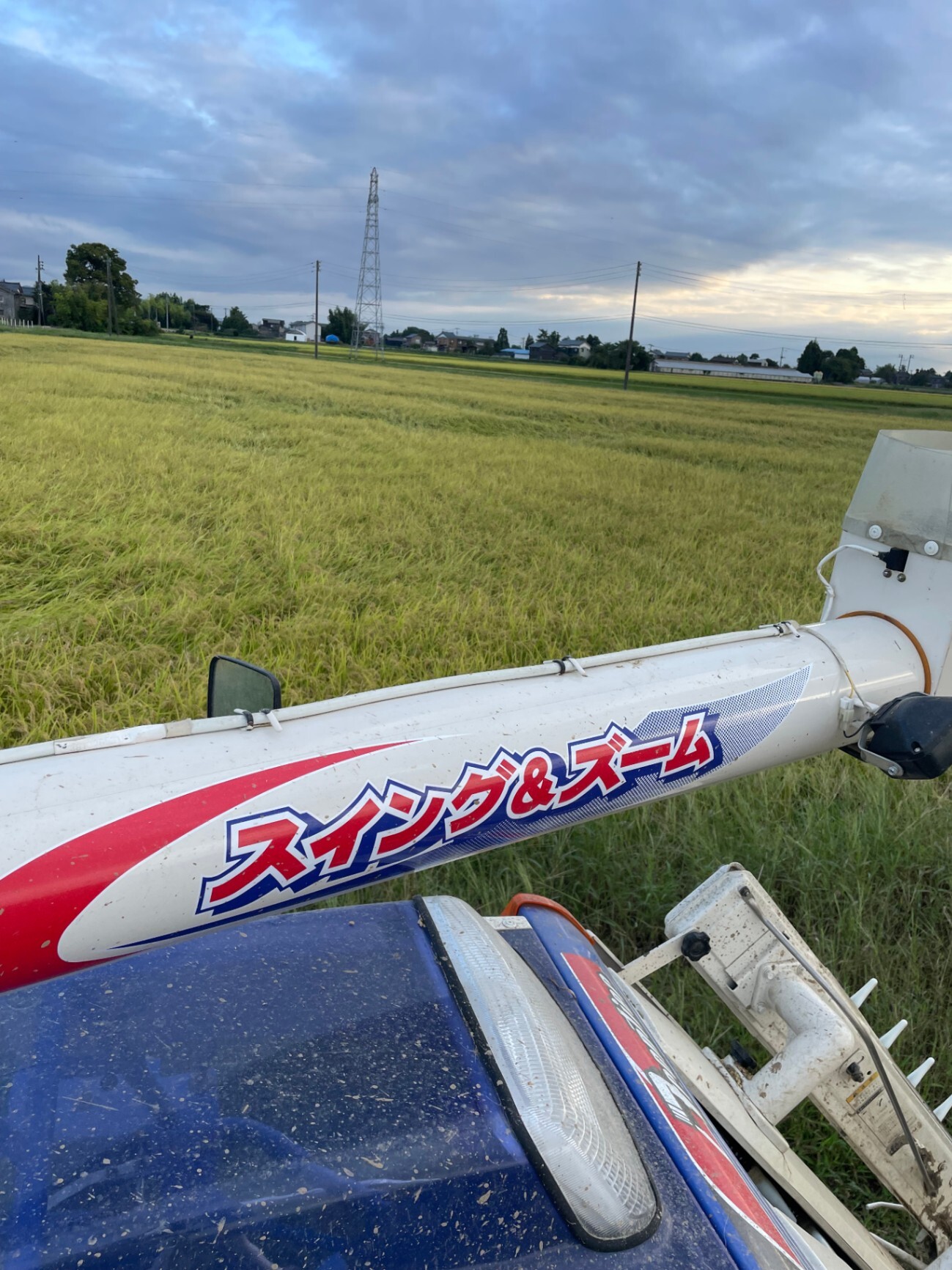 【農家直送】令和8年産 新潟県産コシヒカリ10kg（白米/玄米選択OK）/北海道・九州・沖縄送料別