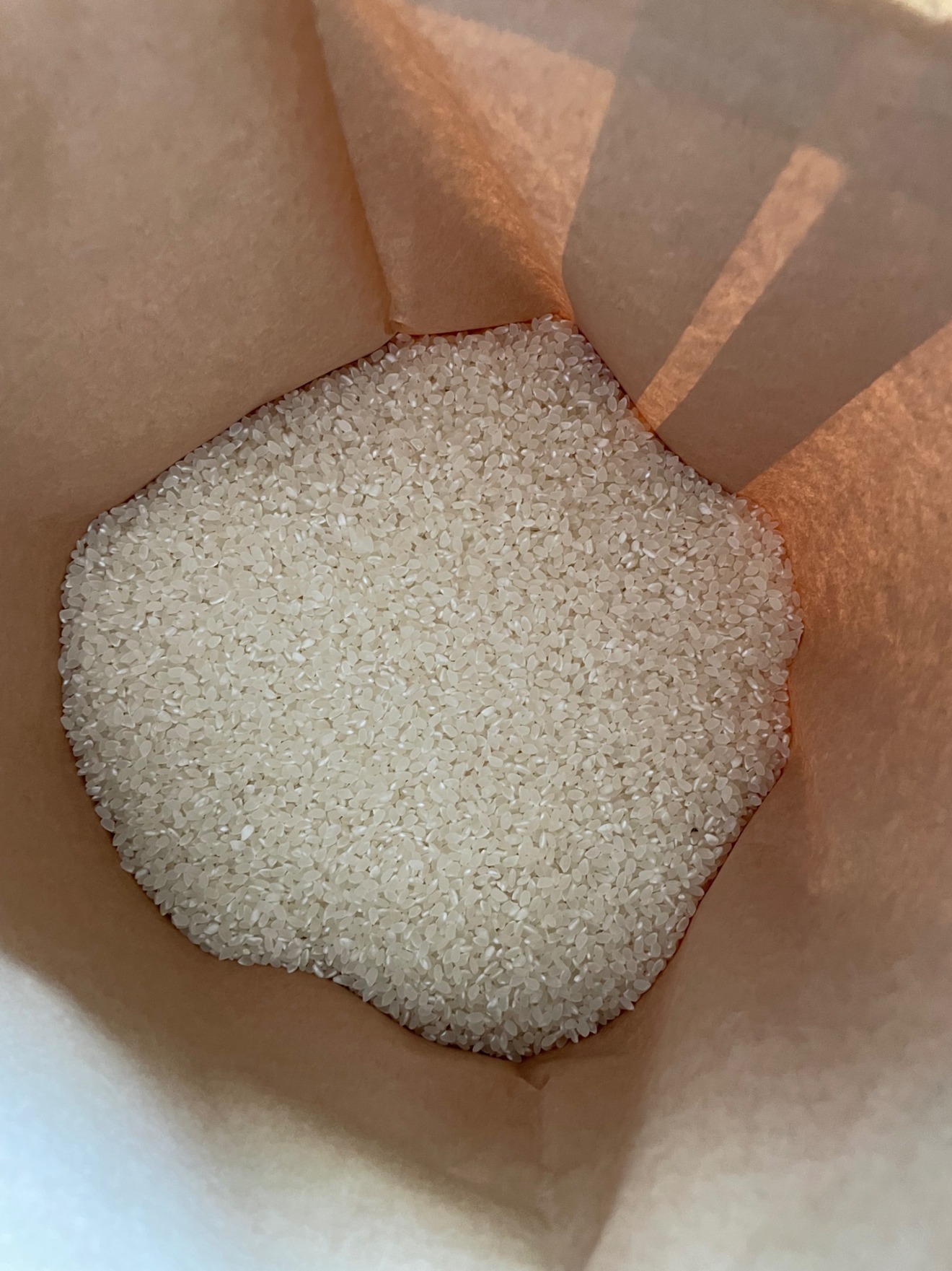 魚沼産コシヒカリ　令和8年新米　精米5キロ