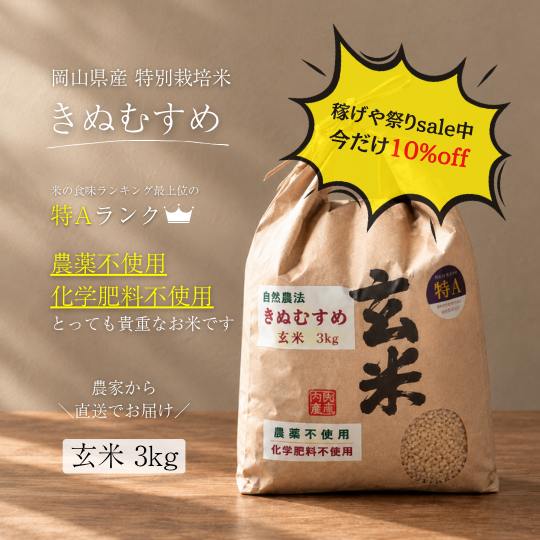 稼げや祭り先行sale🔥数量限定│自然農法で育てた岡山県産きぬむすめ｜特別栽培米玄米3kg｜農家直送