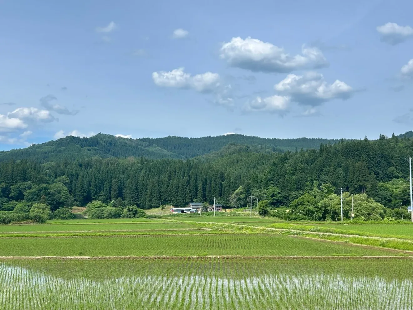 【令和8年産新米】秋田県産あきたこまち　精米10kg　山間部で育てられたこだわり栽培米