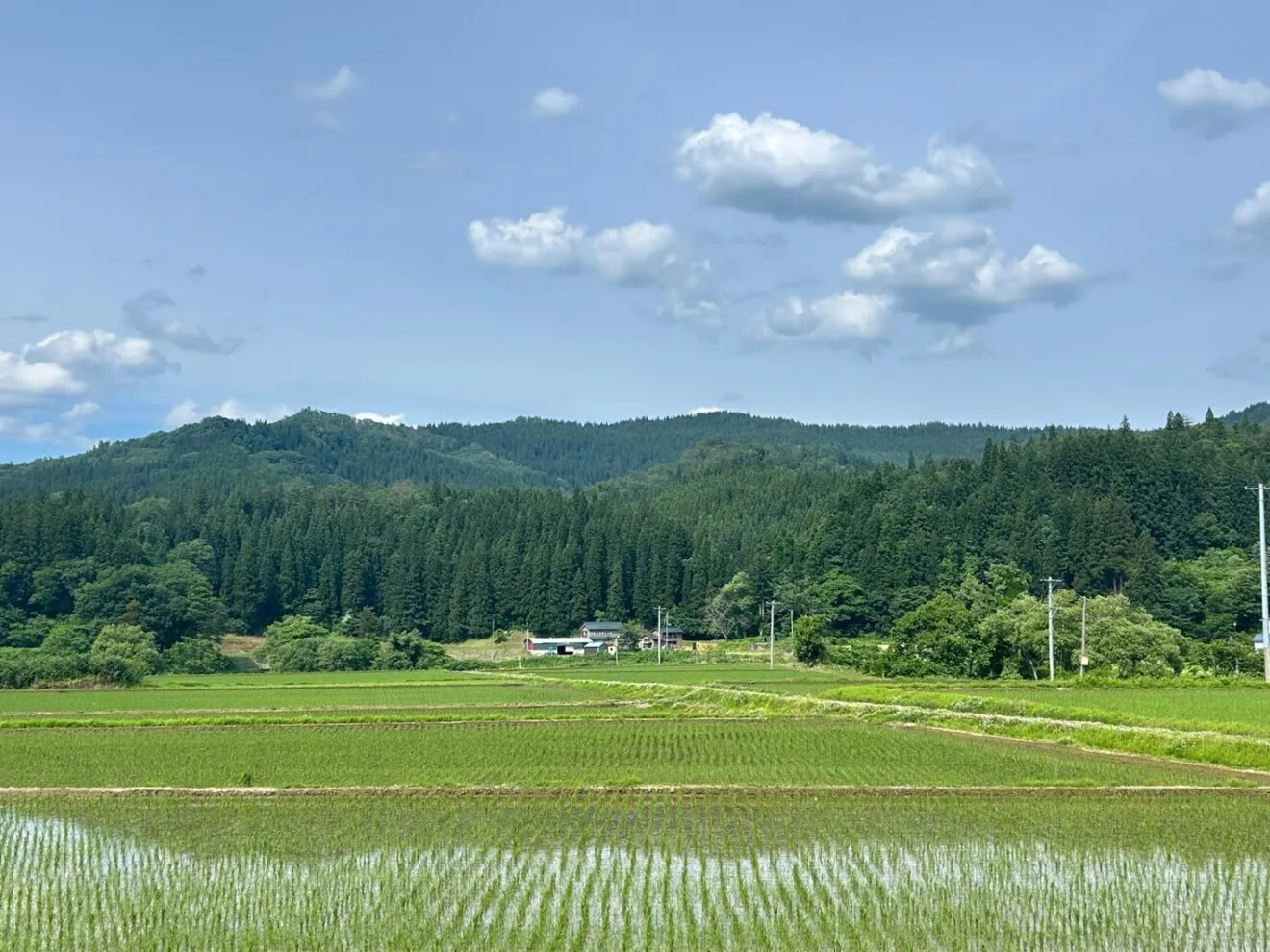 【令和8年産新米】秋田県産あきたこまち 玄米30kg　山間部のこだわり栽培米（色彩選別機使用）