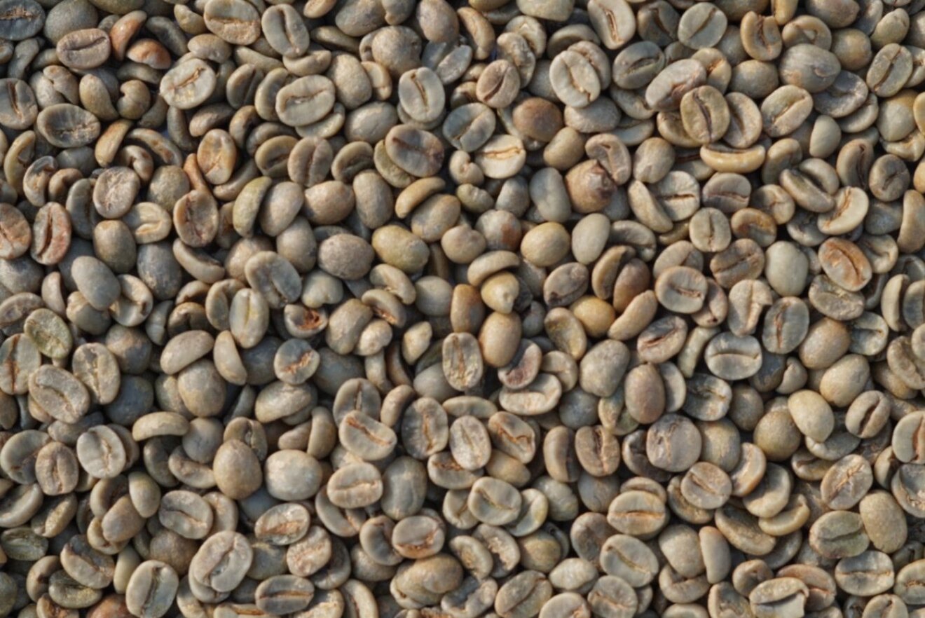 うっきーおすすめコーヒー豆200g×2種 飲み比べセット