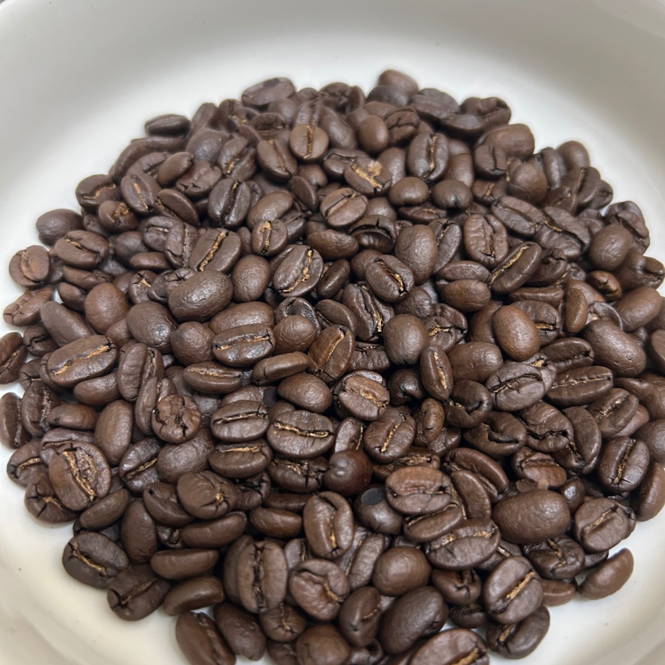 ✨秋限定✨<スペシャルティコーヒー100％使用＞まろやか秋ブレンド(100g)
