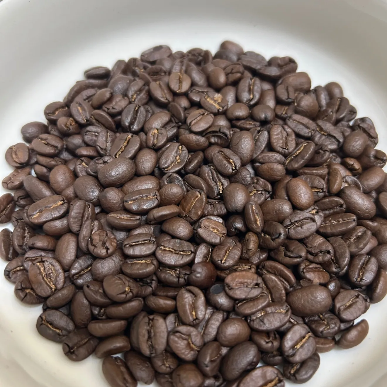 ✨秋限定✨<スペシャルティコーヒー100％使用＞まろやか秋ブレンド(100g)