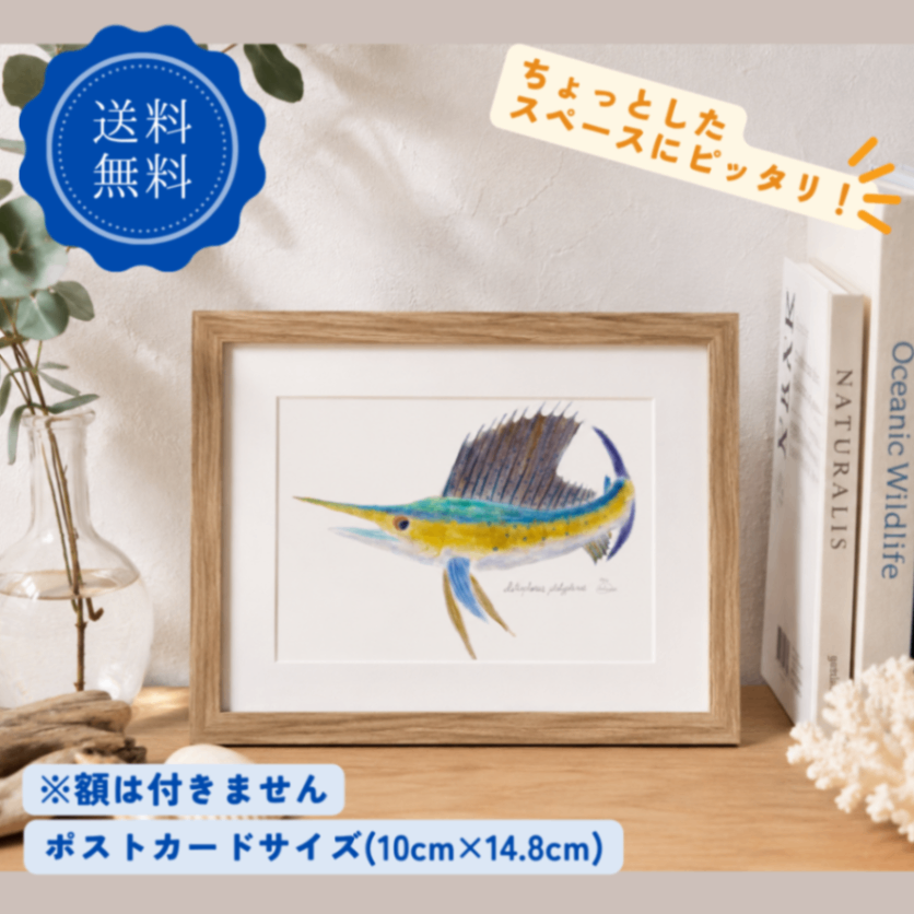 【ハンドメイド】水彩ポストカード｜カジキ｜海の生き物イラスト