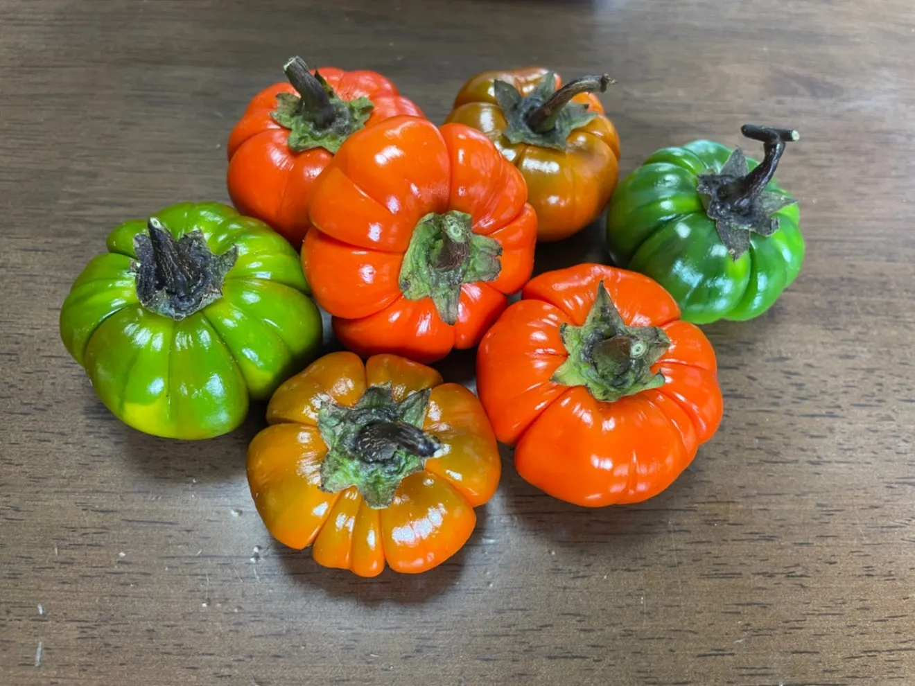 【ハロウィン】【観賞用】ソラナムパンプキン　20個MIX　　秋・ハロウィンの飾りに