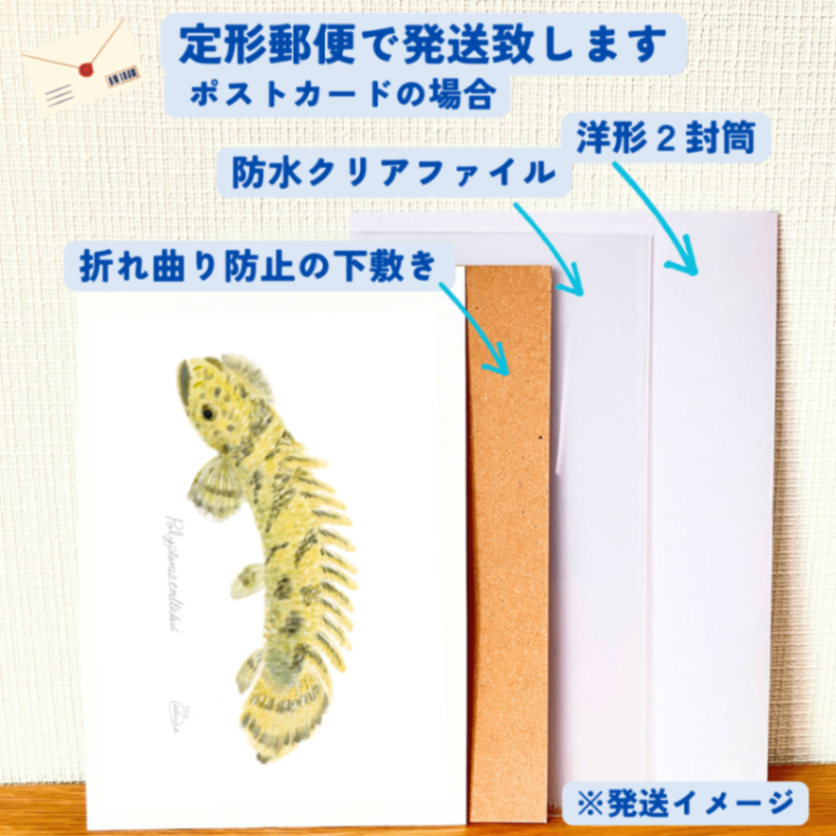 【ハンドメイド】水彩ポストカード｜ポリプテルス｜古代魚イラスト