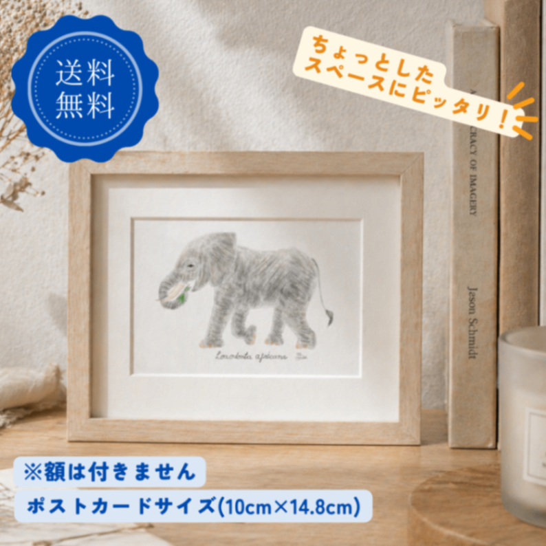 【ハンドメイド】水彩ポストカード｜ゾウ｜ナチュラルイラスト
