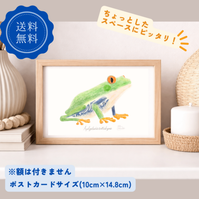 【ハンドメイド】水彩ポストカード｜カエル｜雨の日イラスト