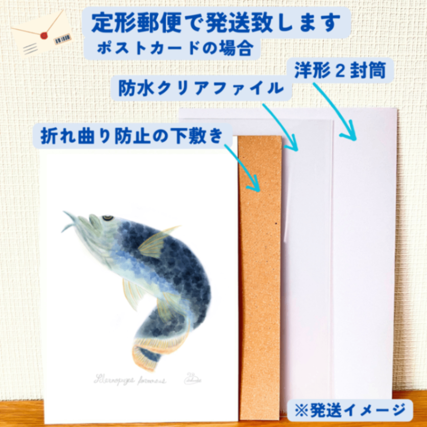 【ハンドメイド】水彩ポストカード｜アロワナ｜海の生き物イラスト