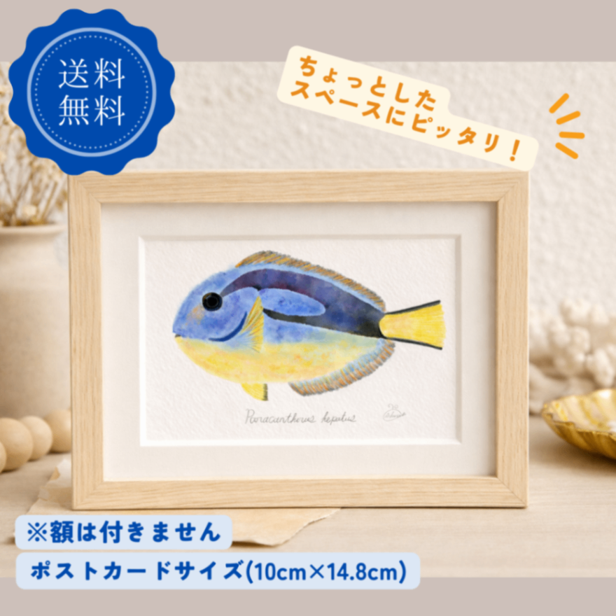 【ハンドメイド】水彩ポストカード｜ナンヨウハギ｜海の生き物イラスト