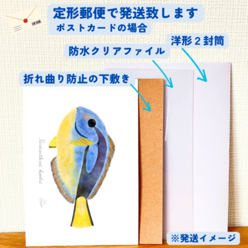 【ハンドメイド】水彩ポストカード｜ナンヨウハギ｜海の生き物イラスト