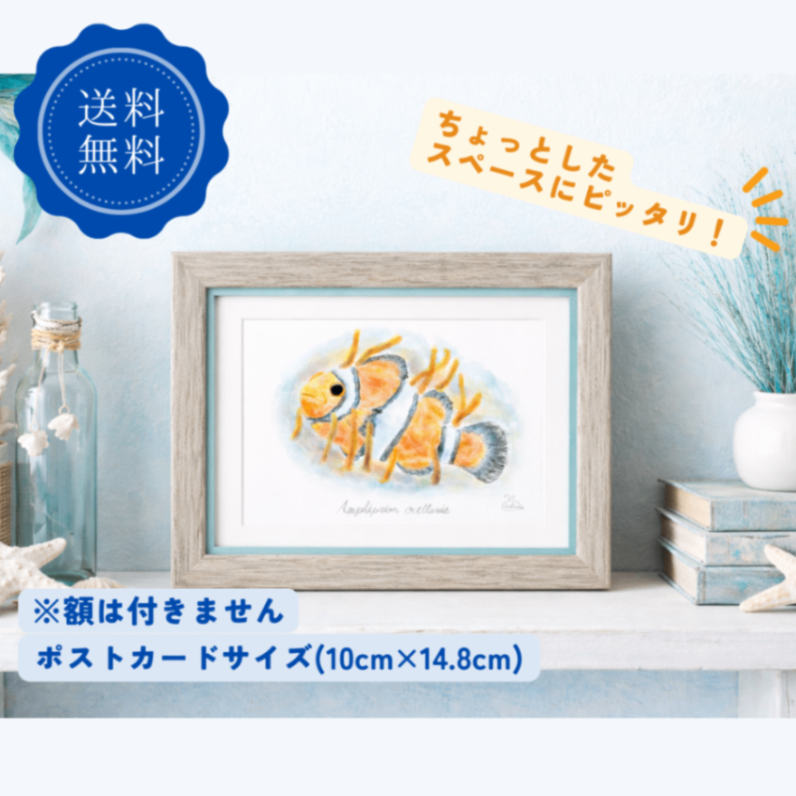 【ハンドメイド】水彩ポストカード｜カクレクマノミ｜海の生き物イラスト