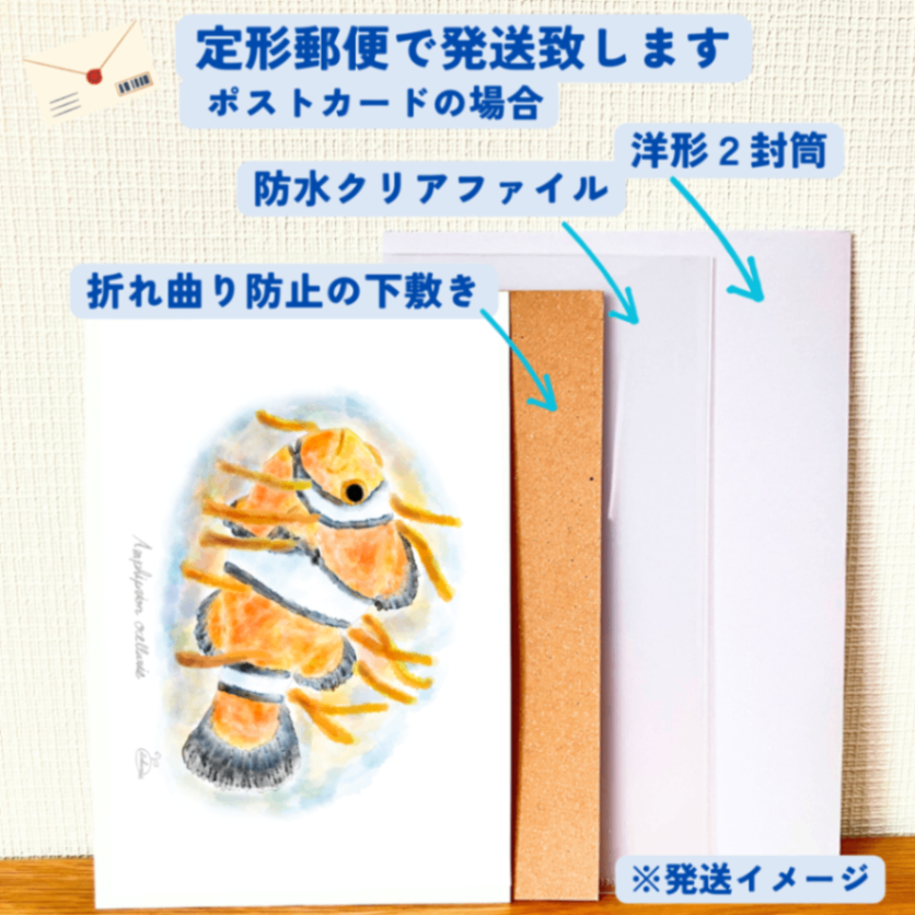 【ハンドメイド】水彩ポストカード｜カクレクマノミ｜海の生き物イラスト