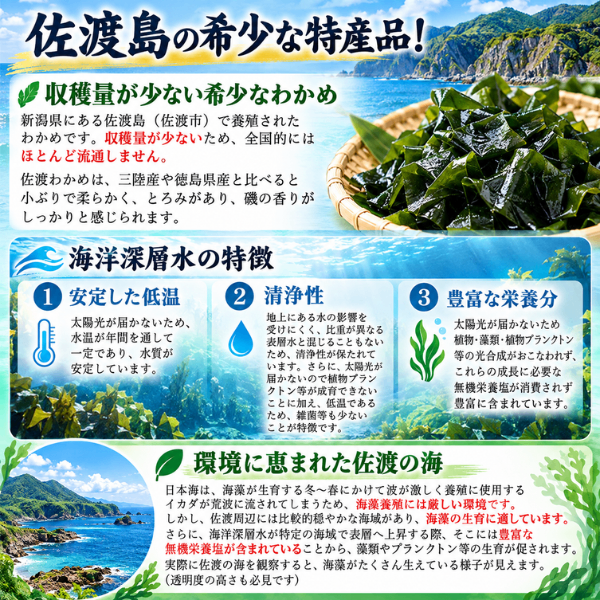 佐渡わかめ 塩蔵わかめ 新潟県佐渡島産 希少な海藻 国産 わかめ