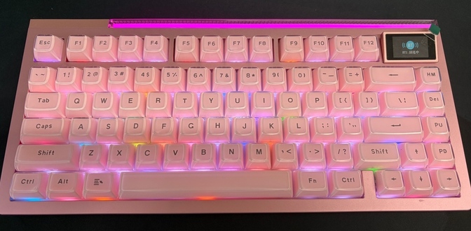 EPOMAKER GLOW75 ピンク GrayWood V4 MOAキーキャップ RGB液晶