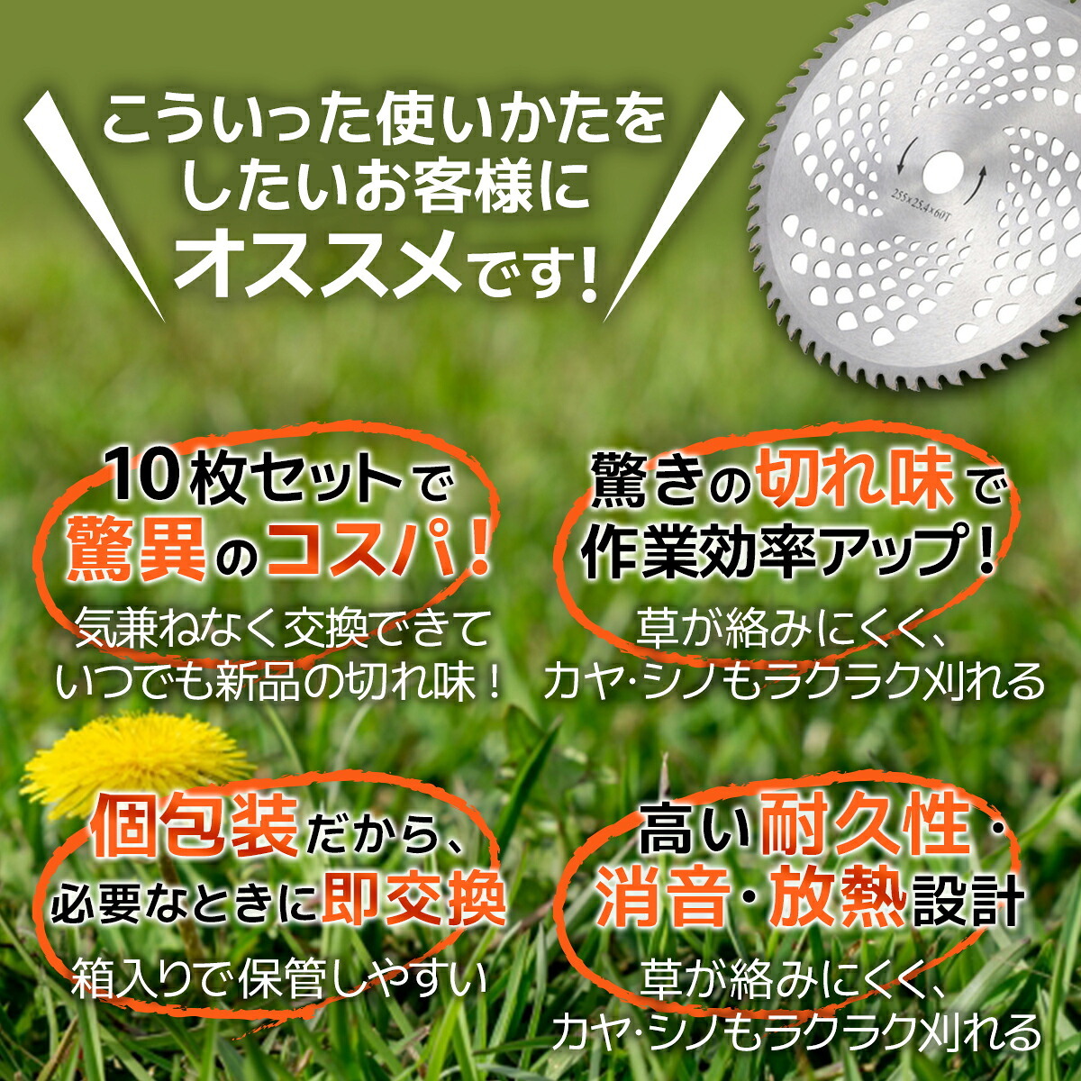 草刈り機 チップソー 255mm 40枚刃 替刃 軽量 1枚 2枚 5枚 10枚