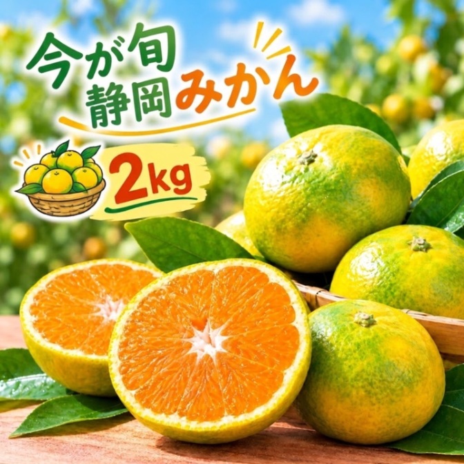 [予約受付中]農園直送🍊旬の採りたてみかん2キロ🍊
