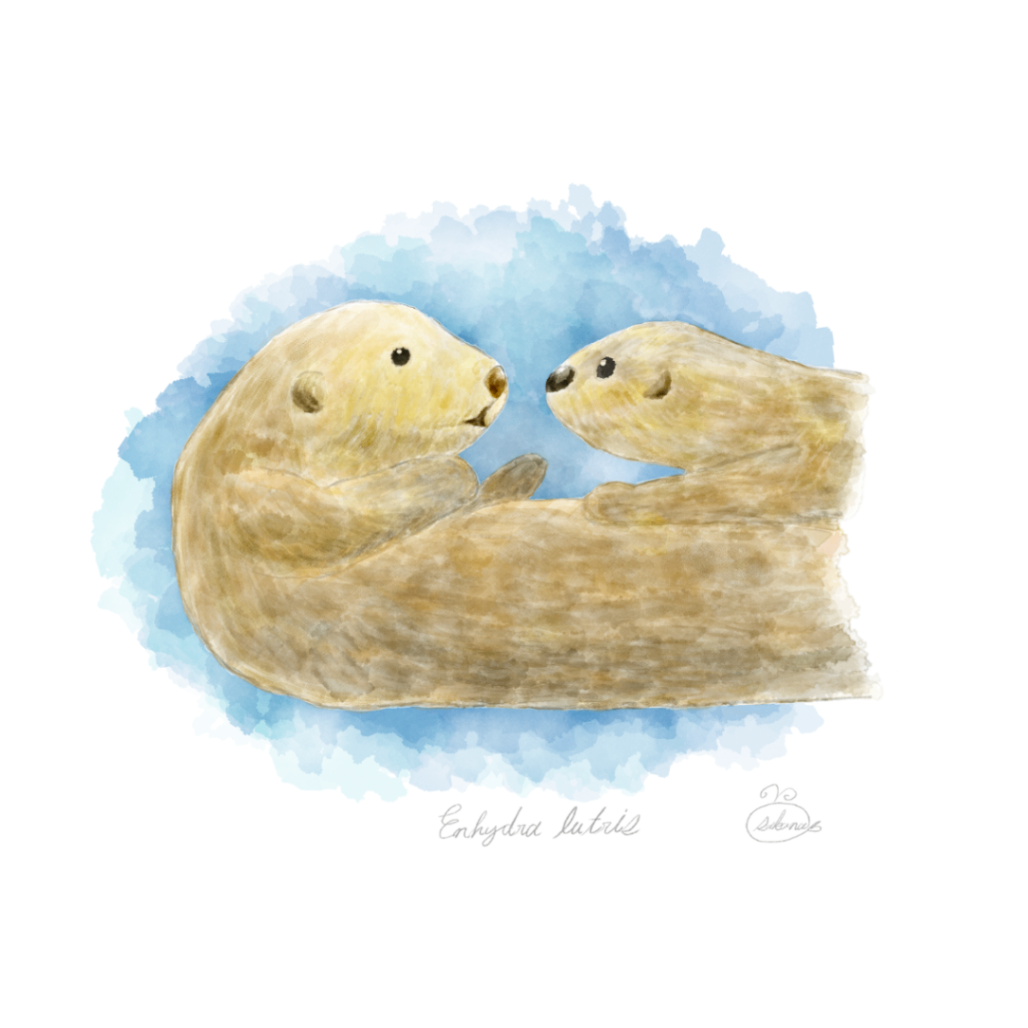 【ハンドメイド】水彩ポストカード｜ラッコ親子｜海の生き物イラスト