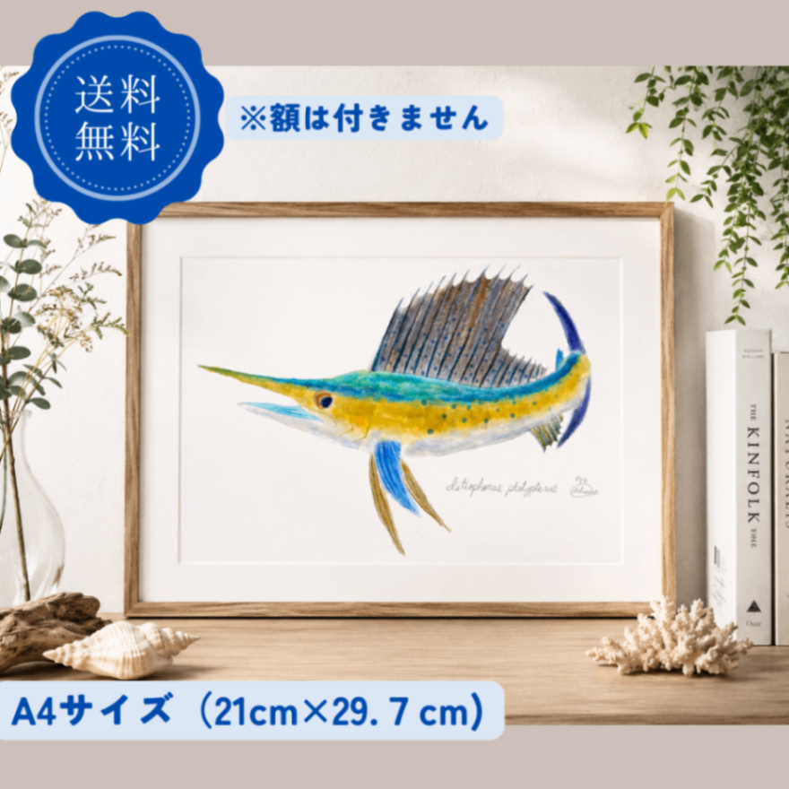 【ハンドメイド】水彩ポストカード｜カジキ｜海の生き物イラスト
