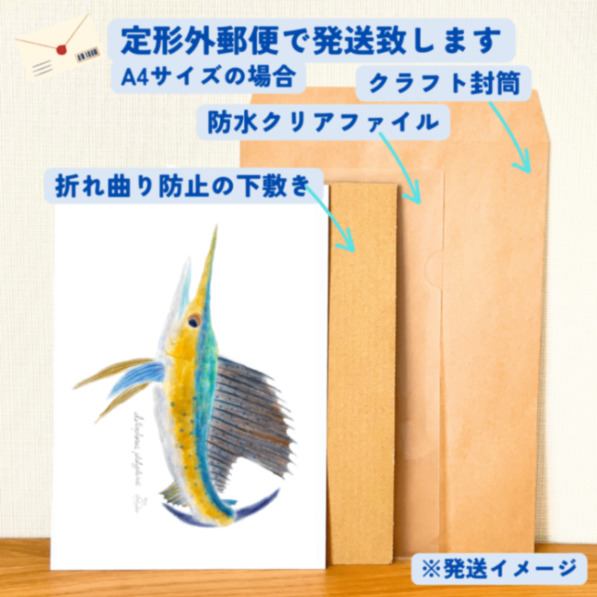 【ハンドメイド】水彩ポストカード｜カジキ｜海の生き物イラスト